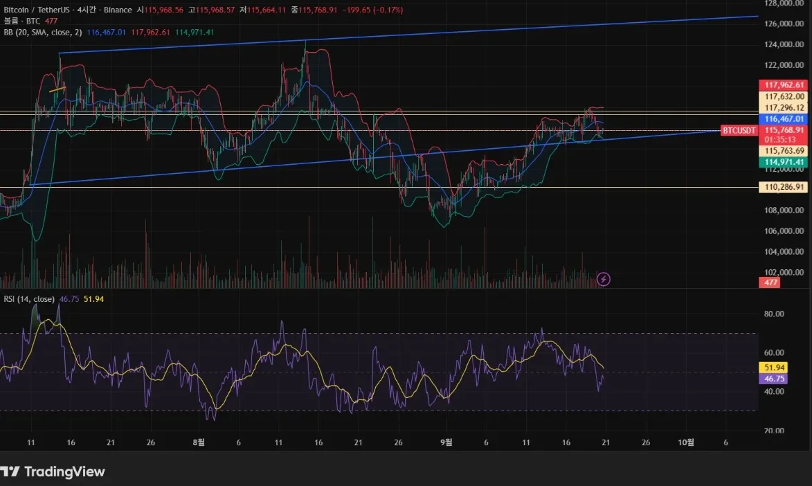 [30일 챌린지 41기 2주차]