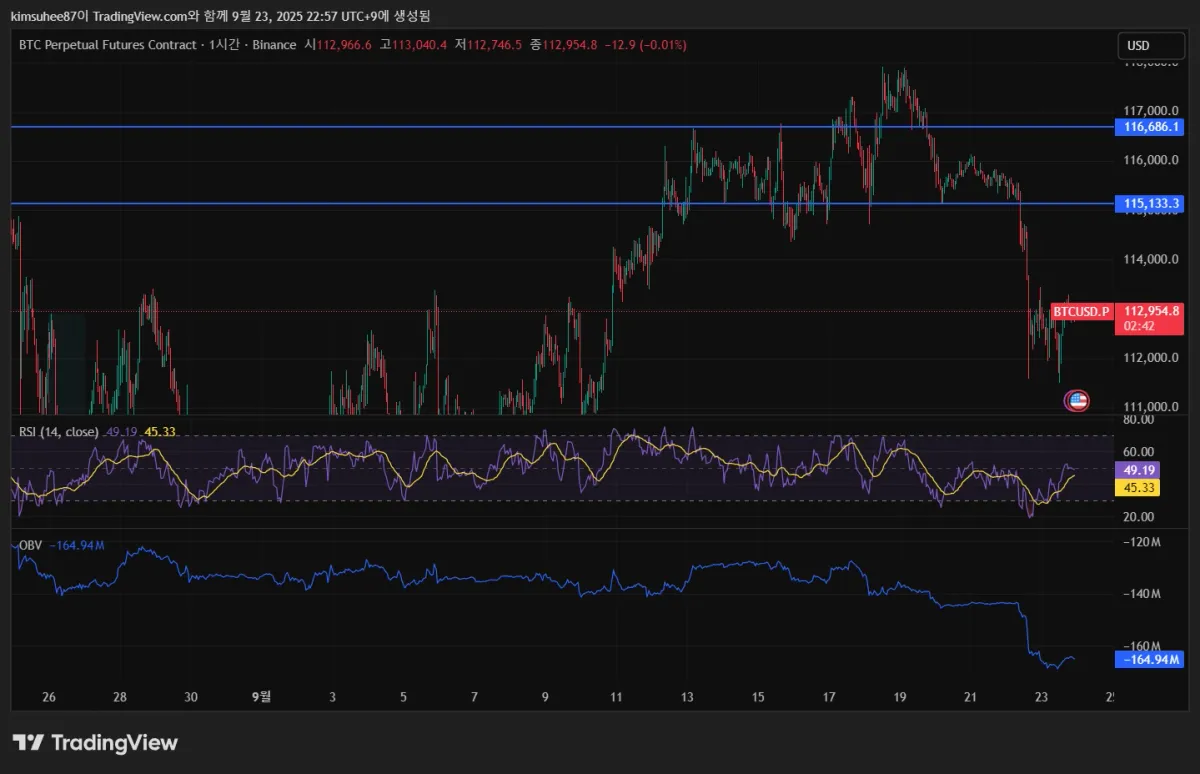 BTCUSD.P_2025-09-23_22-57-17_03a77