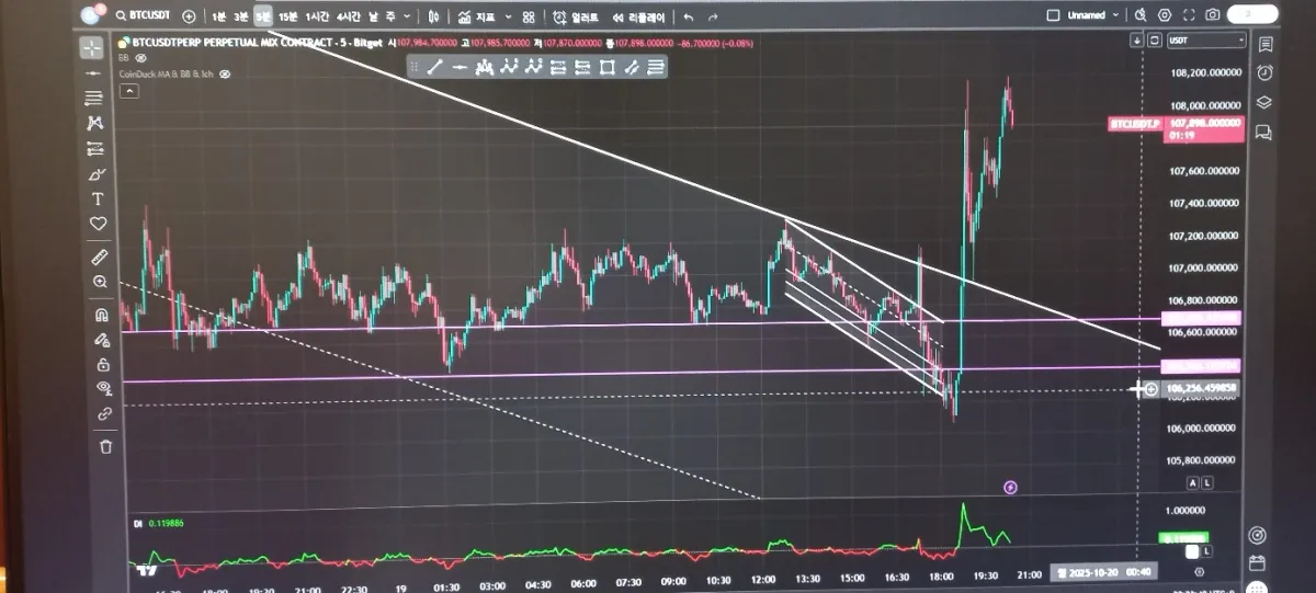 10월19일8시20분경1시간봉