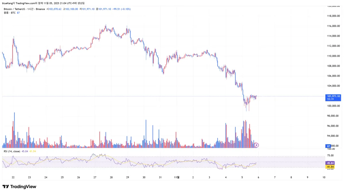 BTCUSDT_2025-11-05_21-04-41