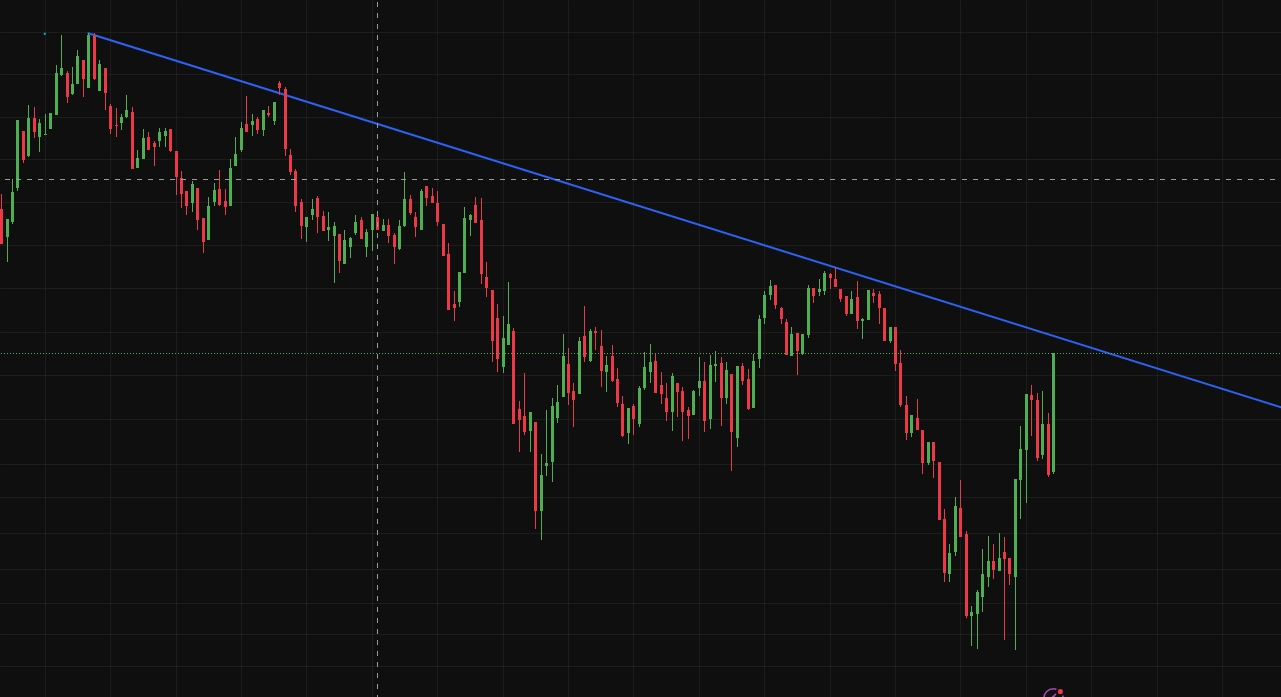 스크린샷 2025-11-08 012831