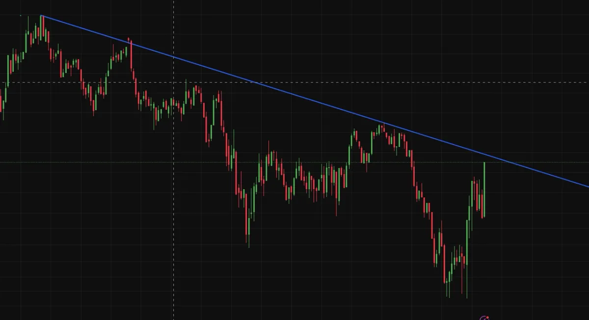 스크린샷 2025-11-08 012831