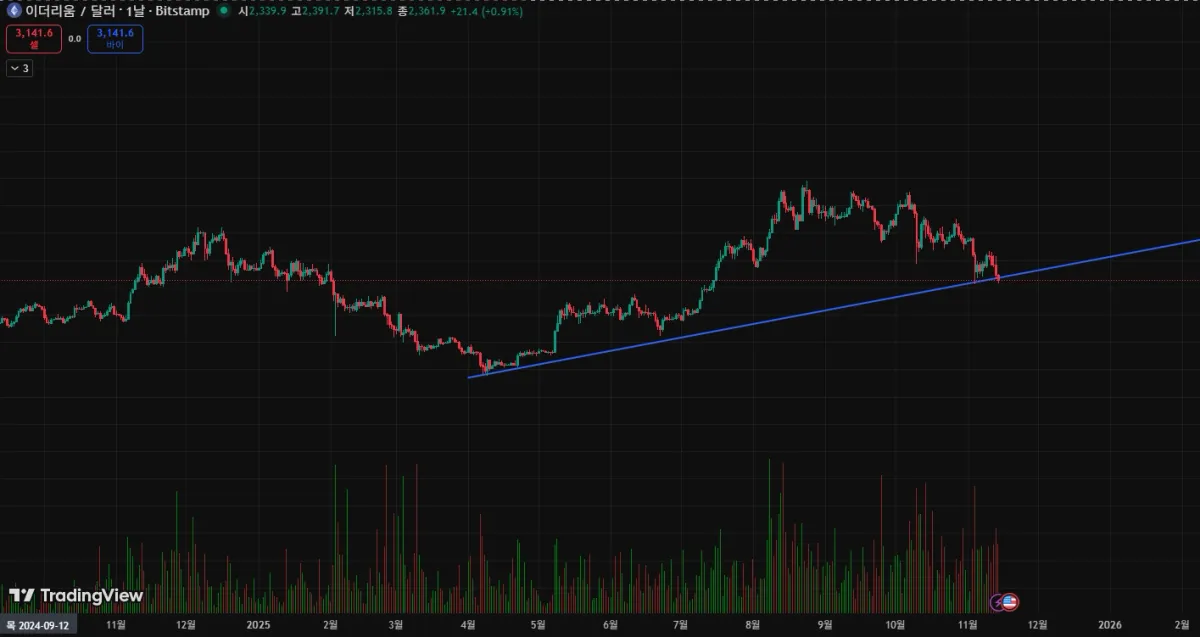 화면 캡처 2025-11-14 232039