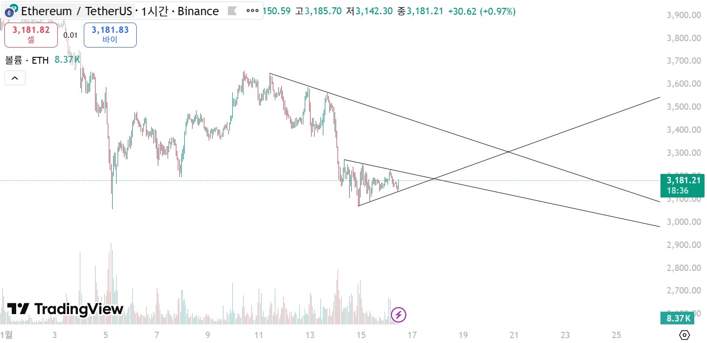화면 캡처 2025-11-16 114135
