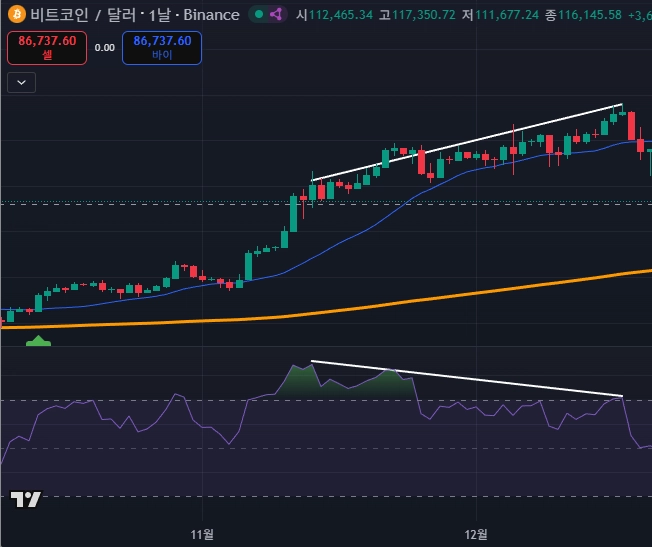 화면 캡처 2025-11-23 134654
