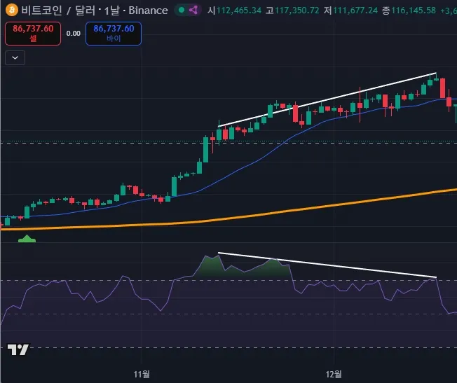 화면 캡처 2025-11-23 134654