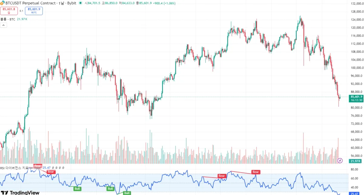 화면 캡처 2025-11-23 164738