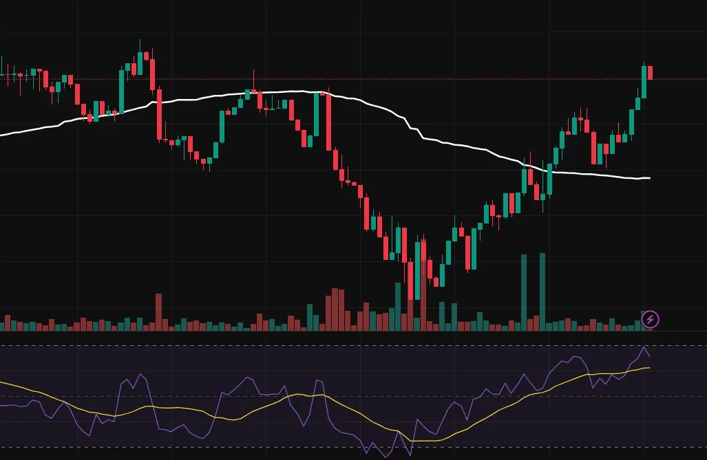 스크린샷 2025-11-23 204652