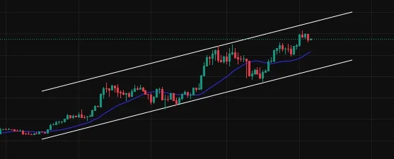 1758416945235-sbo4tjnssfi