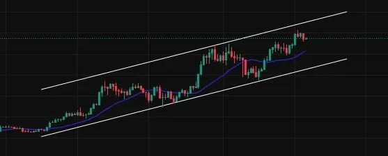 1758416945235-sbo4tjnssfi