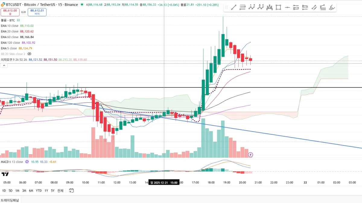 비트코인 테더 20251221