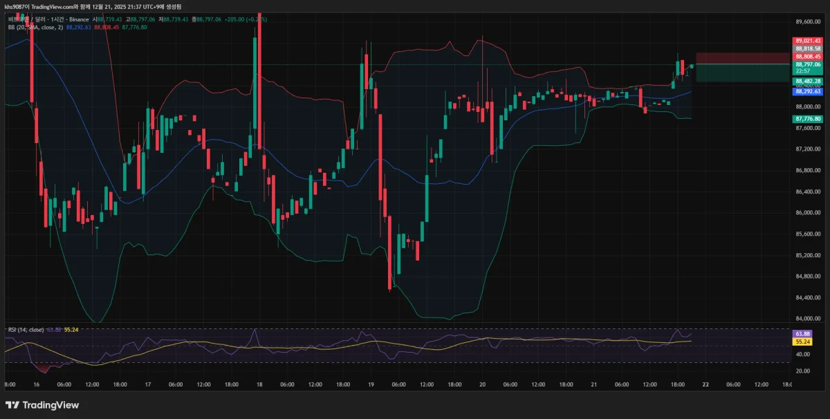 BTCUSD_2025-12-21_21-36-59