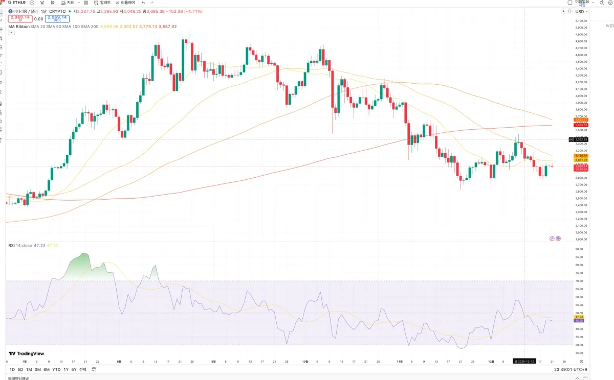 스크린샷 2025-12-21 오후 11.49.02