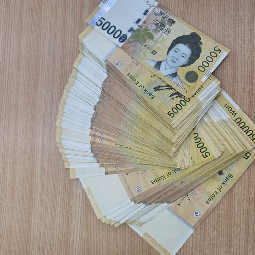 브릿지
