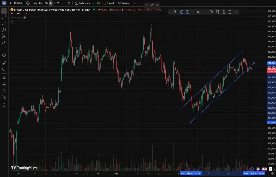 [30일 챌린지 18기 1주차]