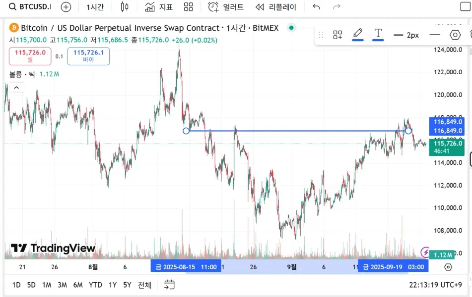 [30일 챌린지 40기 1주차] 비트코인 차트 작도 캡쳐