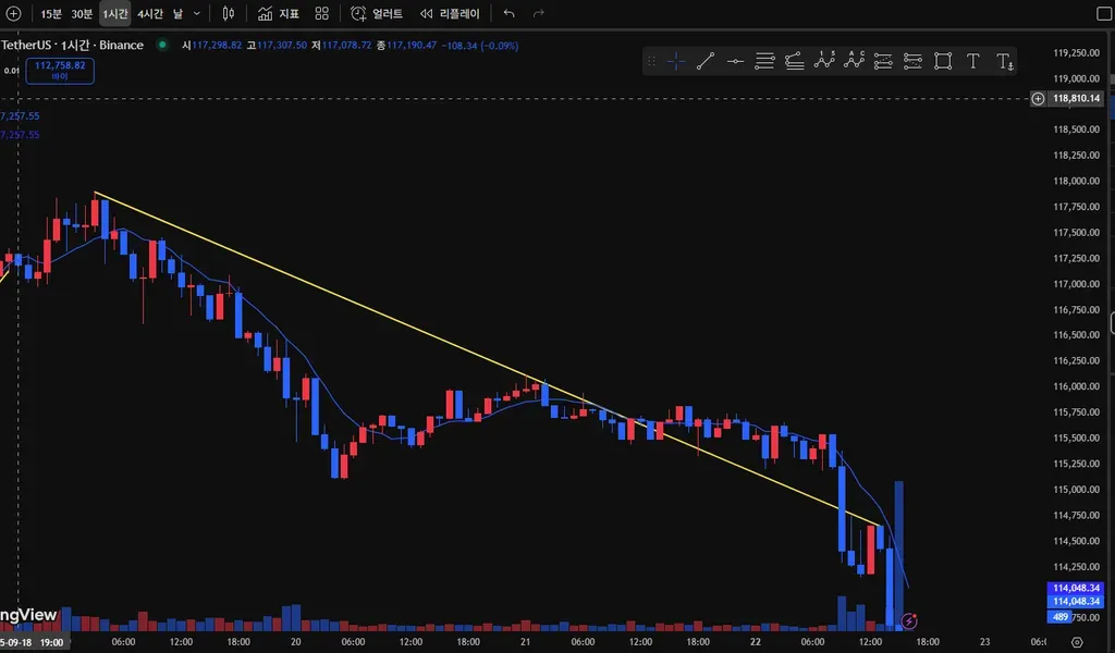 [30일 챌린지 42기 1주차]