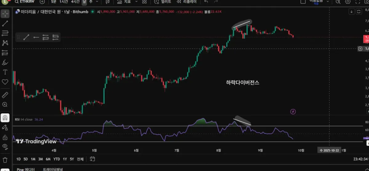 [30일 챌린지 18기 2주차] 11일차 미션: 다이버전스 찾기