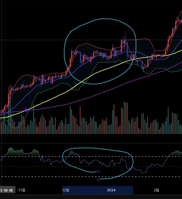 [30일 챌린지 18기 2주차]