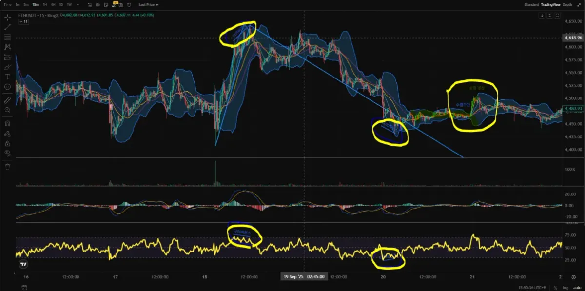 RSI 다이버전스 확인 및 볼밴 이해