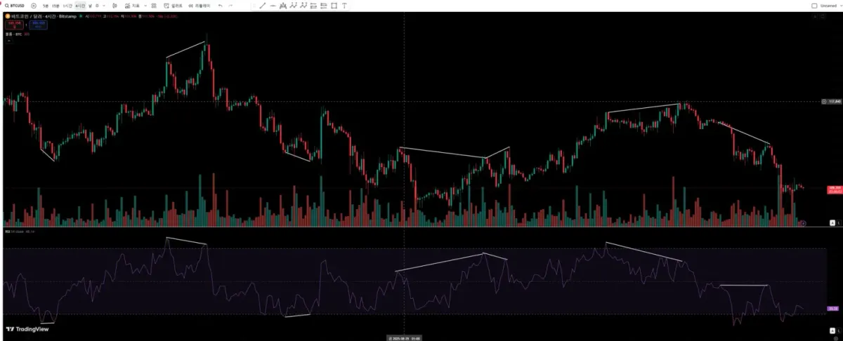 18기 RSI다이버 젼스 