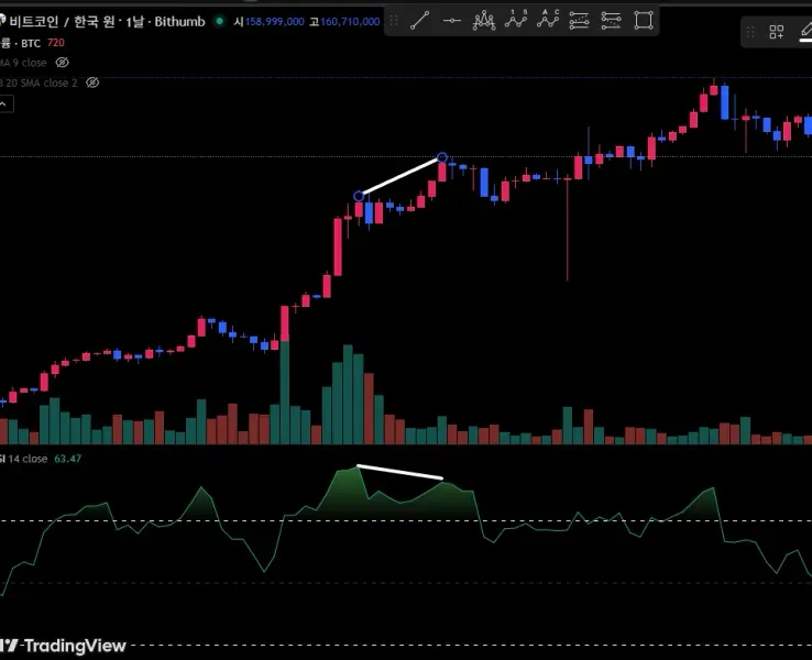 [30일 챌린지 18기 2주차] 11일차 다이버전스 찾기