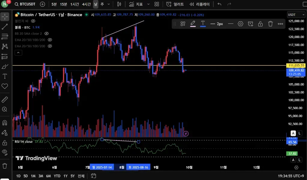 RSI 다이버전스 (11일차)