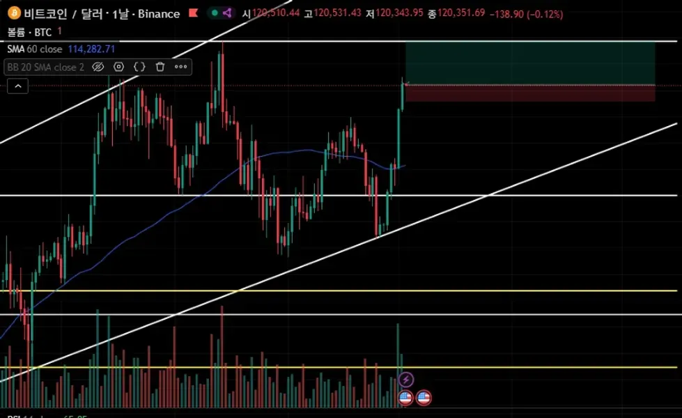 [30일 챌린지 17기 4주차]