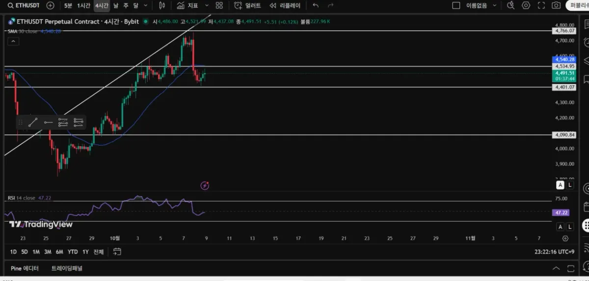  [30일 챌린지 18기 4주차] 매매일지 쓰기 미션