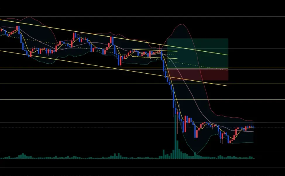[30일 챌린지 18기 4주차]