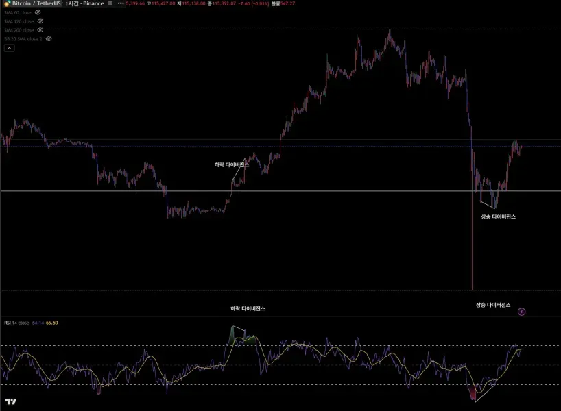 [30일 챌린지 20기 2주차] 다이버전스