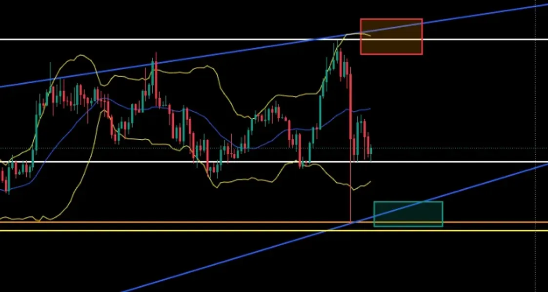 [30일 챌린지 19기 4주차] 필수미션! 첫 작도 후 진입 대기중!