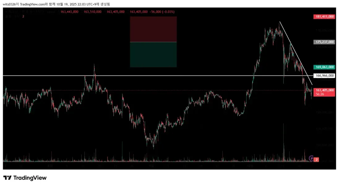 [30일 챌린지 21기 1주차] 트레이드뷰 셋업