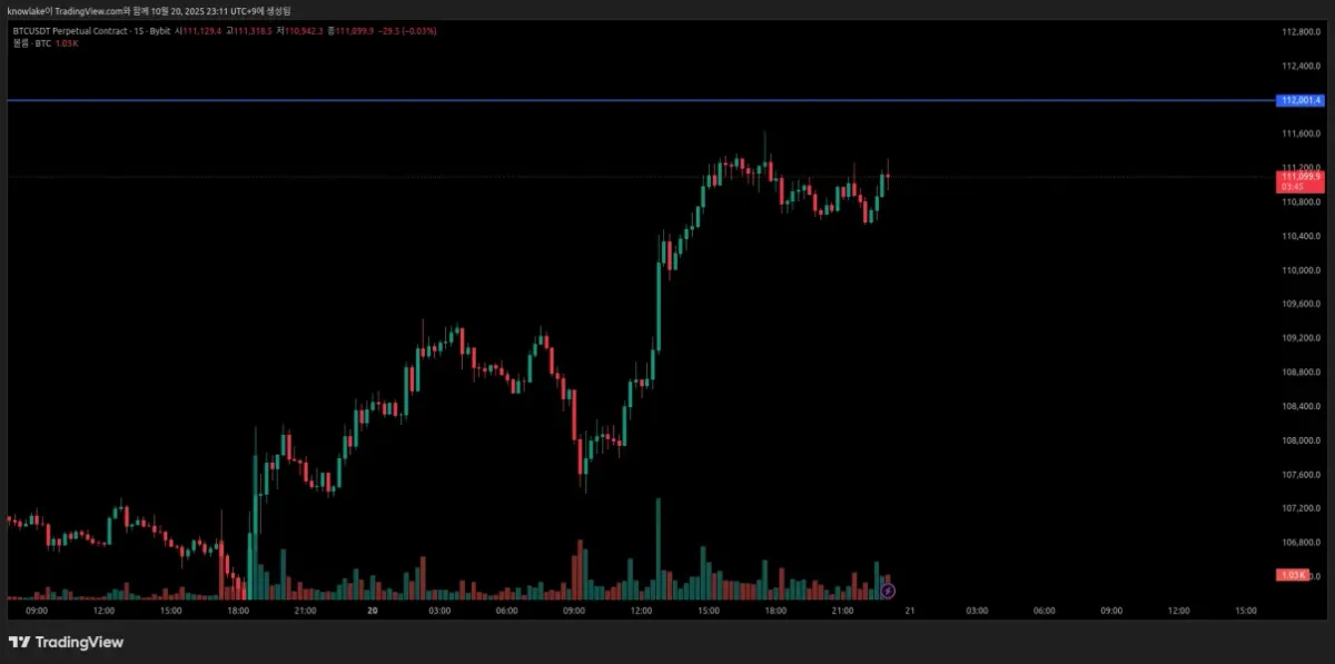 [30일 챌린지 21기 1주차] 나만의 트레이딩뷰 셋업