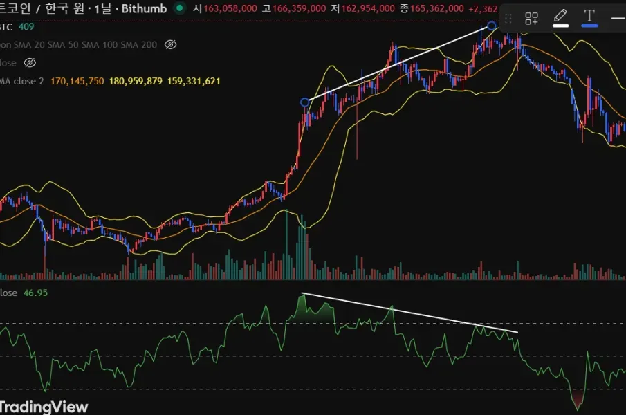 [30일 챌린지 21기 2주차] 다이버전스 