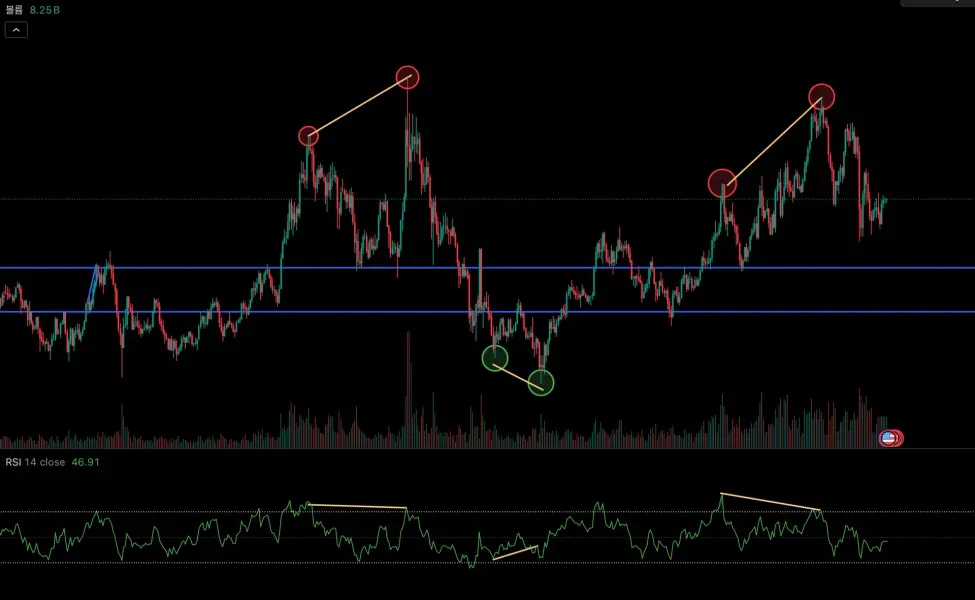 [30일 챌린지 21기] 다이버전스