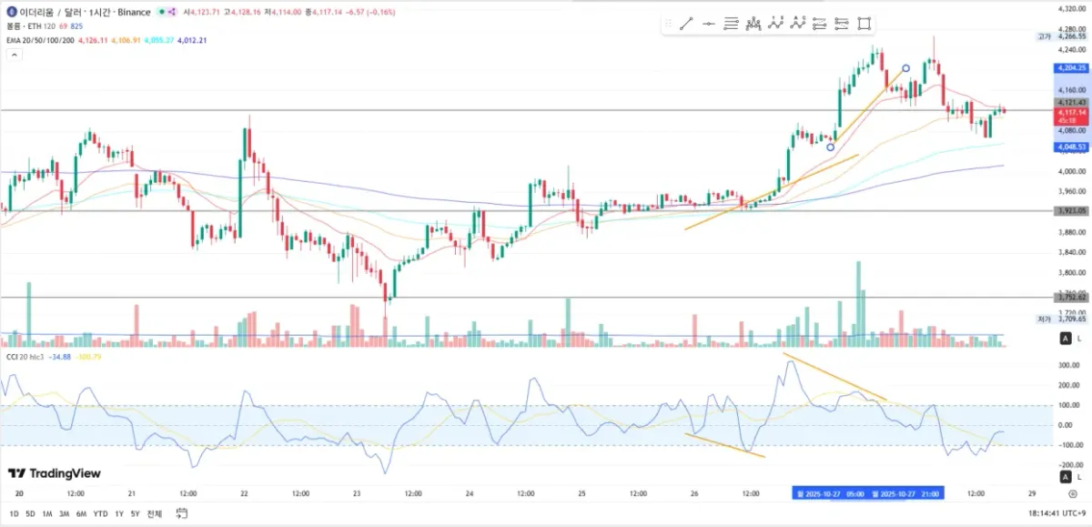 21기 11주차 다이버젼스 구간찾기 미션