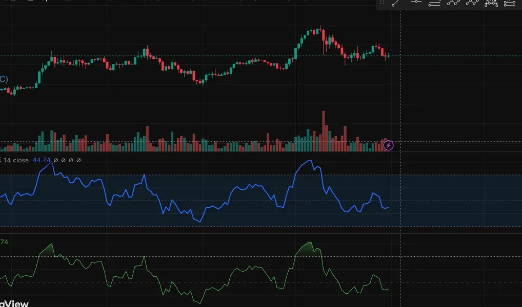 30일 챌린지 22기 11차 MISSION RSI 다이버전스