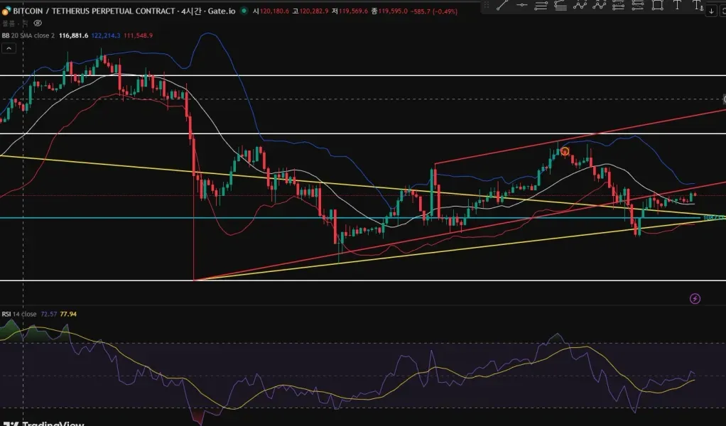 [30일 챌린지 1기 2주차] 
