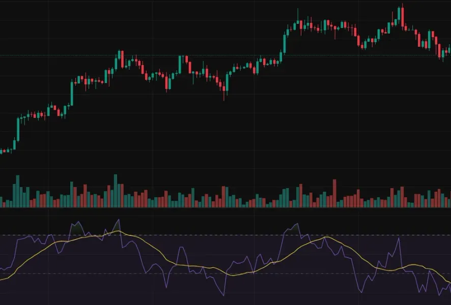  30일 챌린지 1기 2주차