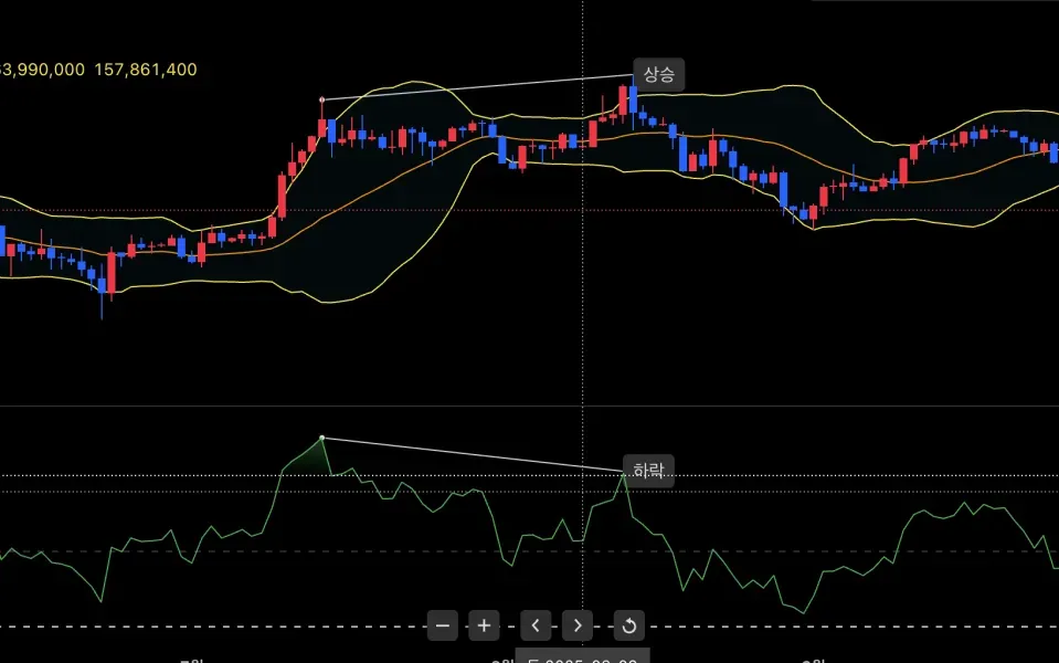 23기 30일 챌린지 다이버전스