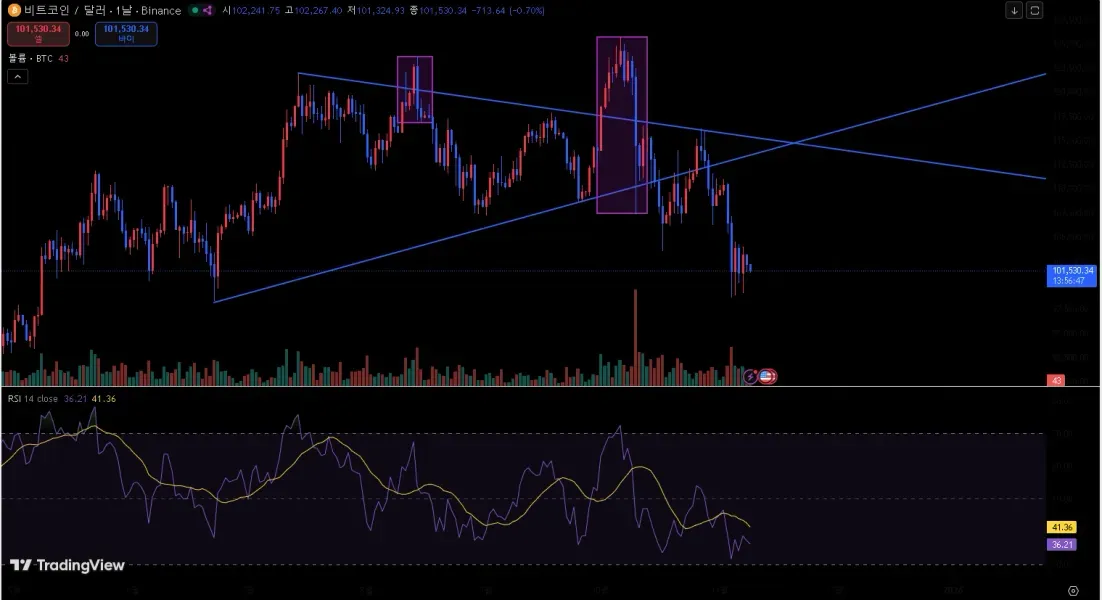 [30일 챌린지 3기 1주차]