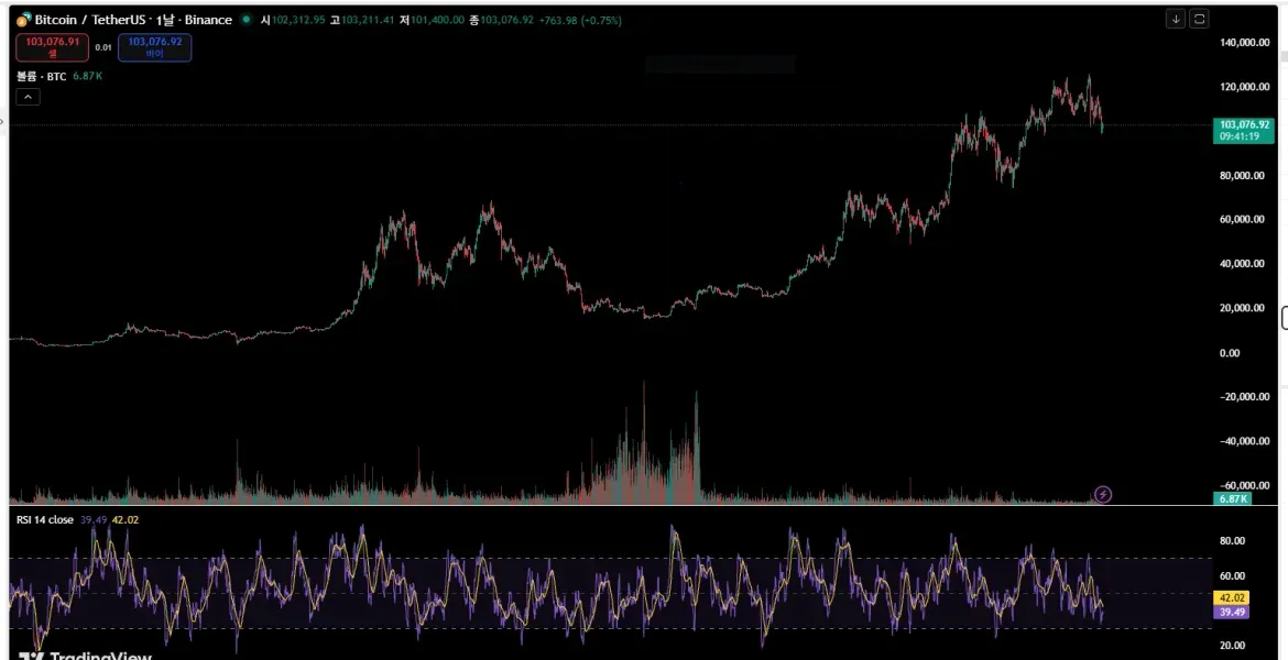 [30일 챌린지 2기 2주차] 곰동이 