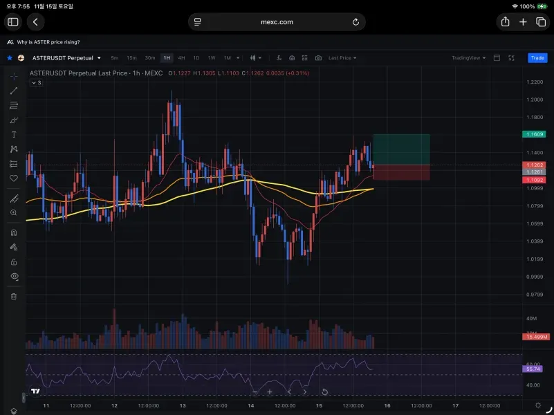 [30일 챌린지 22기  4주차] 매매일지