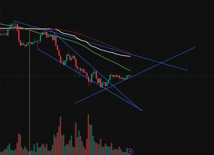 30일 챌린지 4기 1주차