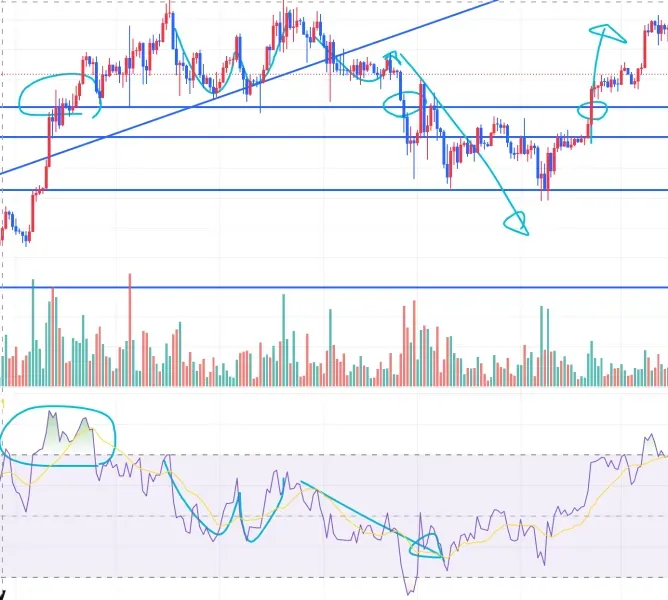 [30일 챌린지 2기 2주차]