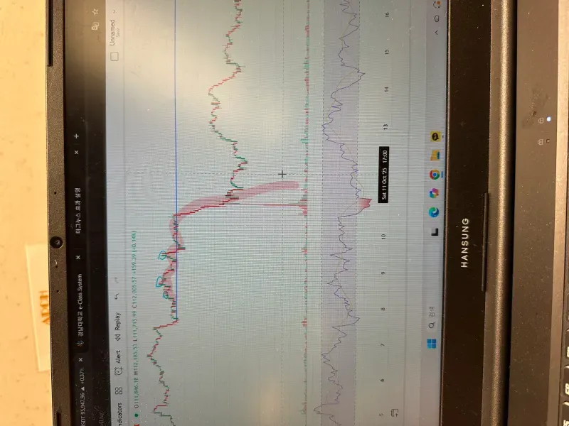 30일 챌린지 3기 2주차 상대 강도 지수 RSI