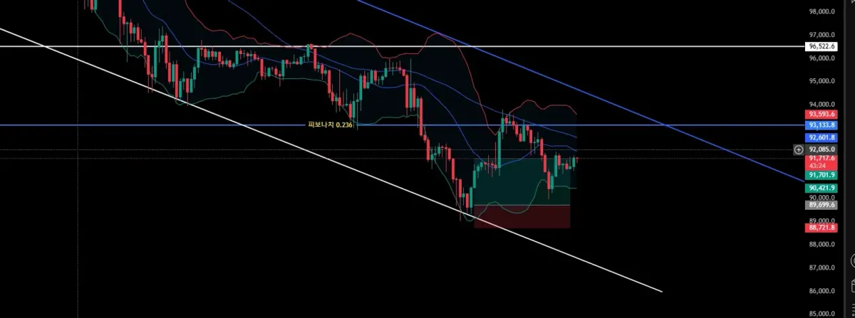 [30일 챌린지 23기 4주차]