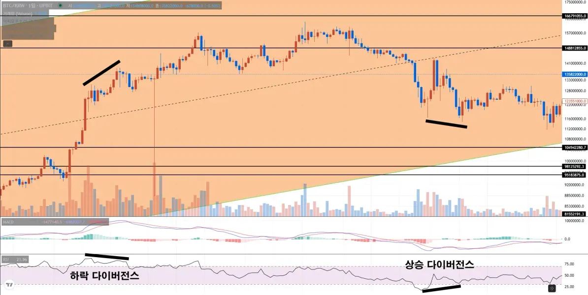 30일 챌린지 <11일차 MISSION> 다이버전스 구간 체크