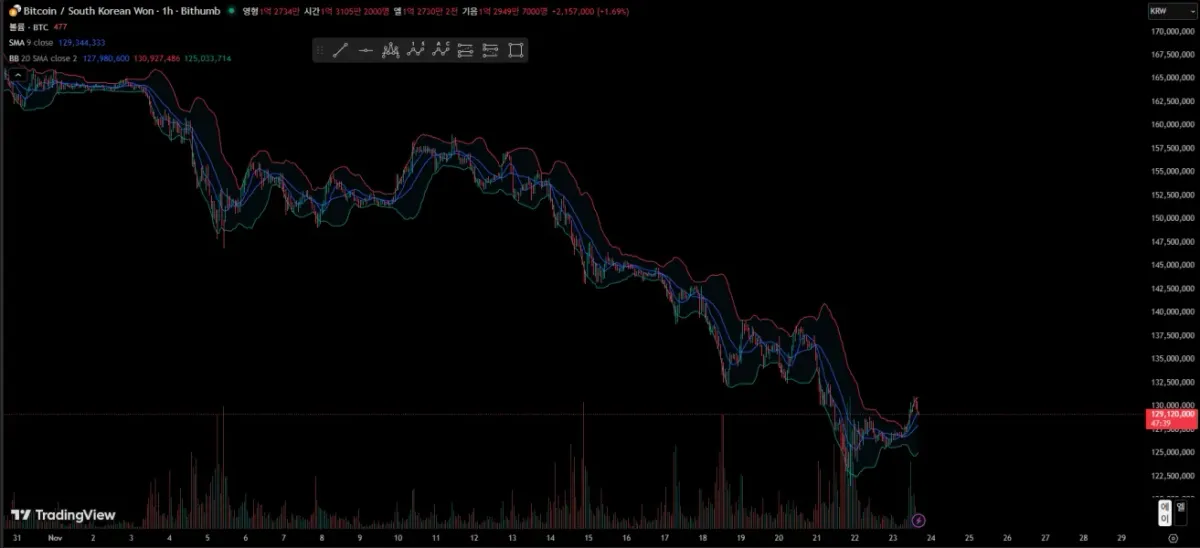 30일 챌린지 24기 1주차